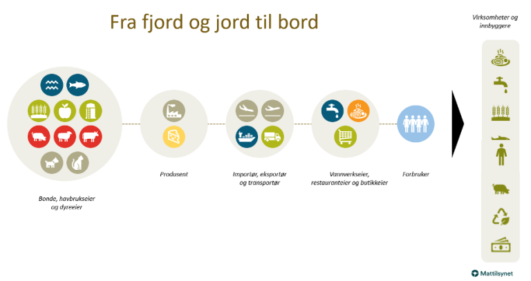 Illustrasjon av Mattilsynets samfunnsoppdrag – fra fjord og jord til bord.