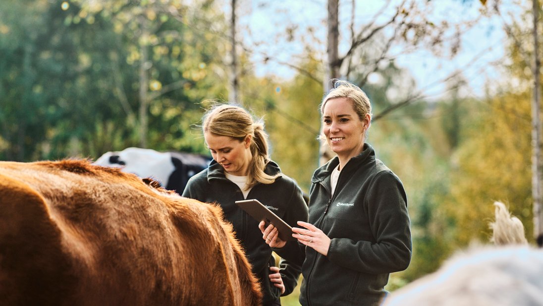 Inspektører i Mattilsynet