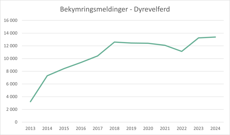 Graf som viser utviklingen i antall bekymringsmeldinger fra 2013 til 2024.