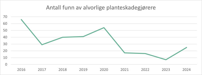 Graf som viser antall alvorlige funn av planteskadegjørere fra 2016 til 2024.