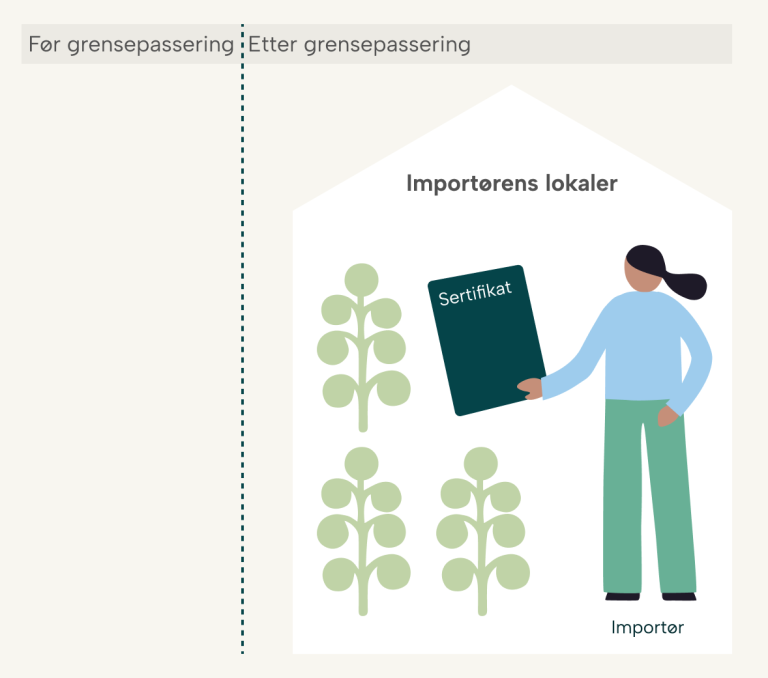 Illustrasjon av importør som utfører mottakskontroll