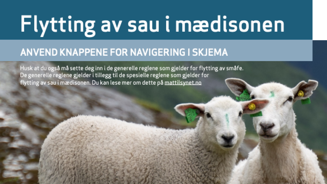 Startside for veiviser for flytting av sau i mædisonen