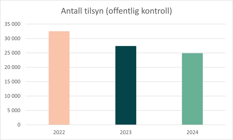 Søylediagram med antall tilsyn i 2022, 2023 og 2024.