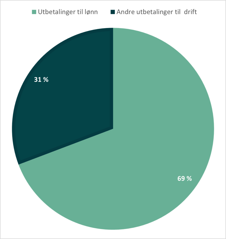 Kakediagram som viser fordeling av utbetalinger til lønn og andre utbetalinger til drift.