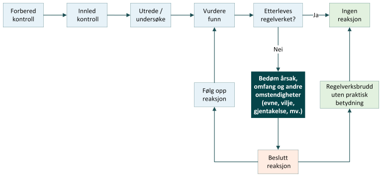 Oversikt over trinnene i kontrollprosessen. Her trinnet "Bedøm årsak og omfang".
