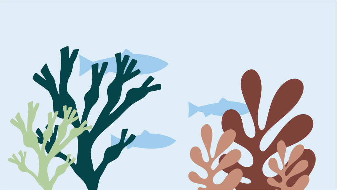 Innhøsting av tang og tare