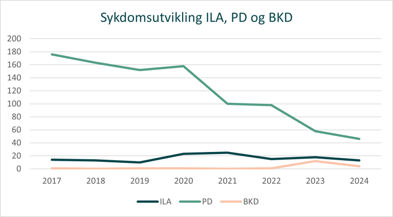 Graf som viser sykdomsutvikling for ILA, PD, og BKD fra 2017 til 2024.