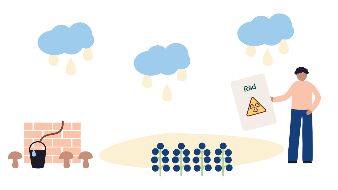 Illustrasjon av råd ved radioaktivt nedfall over en brønn, sopp og bær