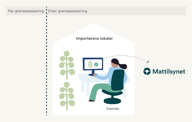 Illustrasjon av importør som sender melding til Mattilsynet