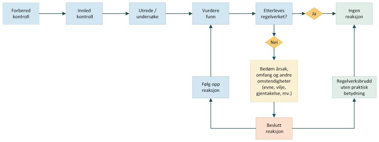 Skisse kontrollveileder visio (2).jpeg