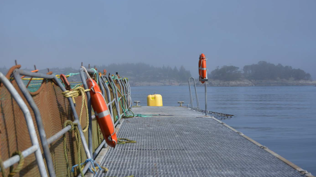 Foto av flytebrygge utenfor merd