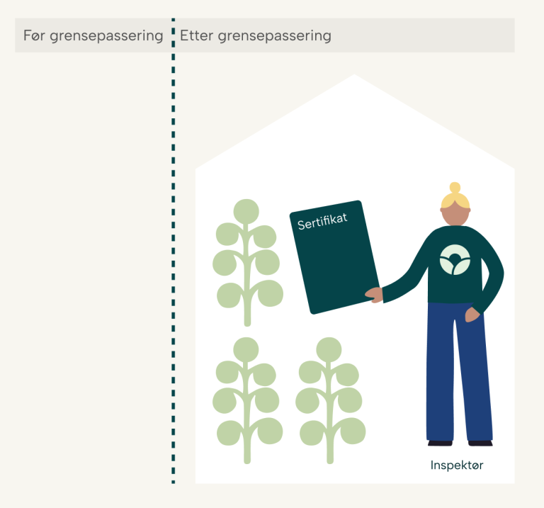 Illustrasjon av inspektør som utfører varepartikontroll