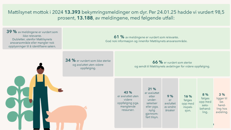 Illustrasjon med antall bekymringsmeldinger, vurdering av disse og antallet om ble fulgt opp.